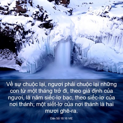 Picture 03 - Dân Số 18:16 VIE - Về sự chuộc lại, ngươi phải chuộc - Bible Verse Picture