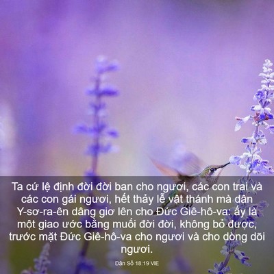 Picture 03 - Dân Số 18:19 VIE - Ta cứ lệ định đời đời ban cho - Bible Verse Picture