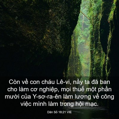 Picture 03 - Dân Số 18:21 VIE - Còn về con cháu Lê-vi, nầy ta đã ban cho - Bible Verse Picture