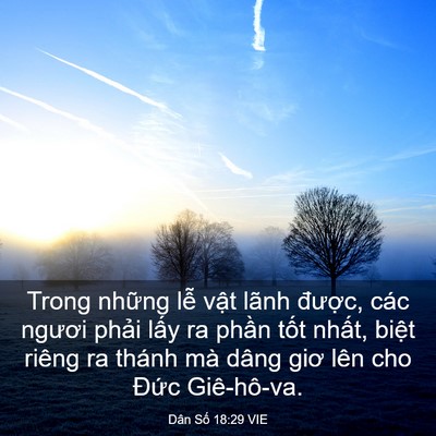 Picture 03 - Dân Số 18:29 VIE - Trong những lễ vật lãnh được, các - Bible Verse Picture