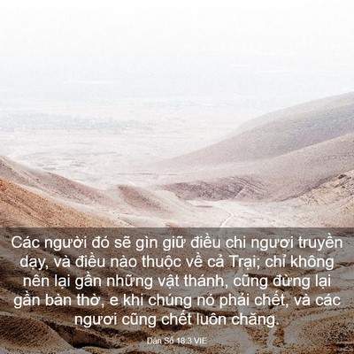 Picture 03 - Dân Số 18:3 VIE - Các người đó sẽ gìn giữ điều chi - Bible Verse Picture