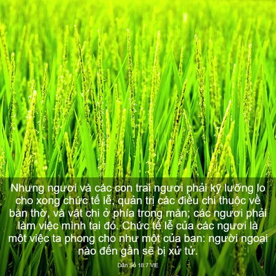 Picture 03 - Dân Số 18:7 VIE - Nhưng ngươi và các con trai ngươi phải - Bible Verse Picture