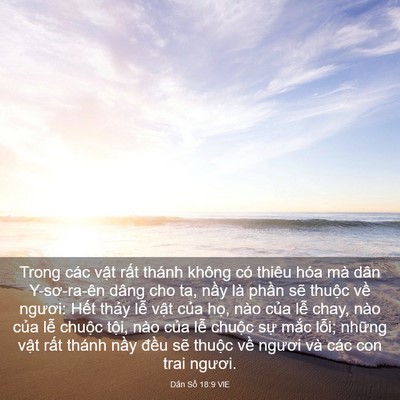 Picture 03 - Dân Số 18:9 VIE - Trong các vật rất thánh không có thiêu - Bible Verse Picture