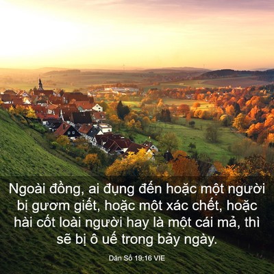 Picture 03 - Dân Số 19:16 VIE - Ngoài đồng, ai đụng đến hoặc một - Bible Verse Picture