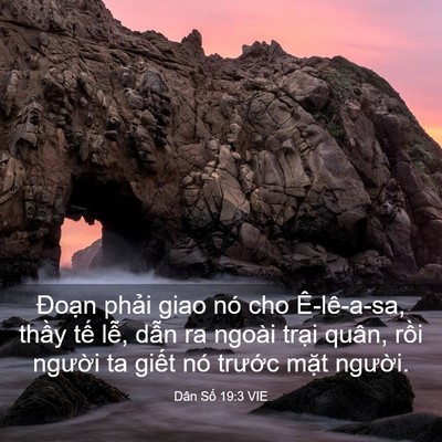 Picture 03 - Dân Số 19:3 VIE - Đoạn phải giao nó cho Ê-lê-a-sa, thầy - Bible Verse Picture