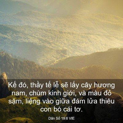 Picture 03 - Dân Số 19:6 VIE - Kế đó, thầy tế lễ sẽ lấy cây - Bible Verse Picture