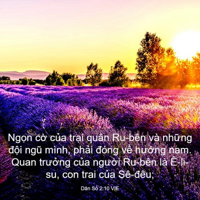 Picture 03 - Dân Số 2:10 VIE - Ngọn cờ của trại quân Ru-bên và - Bible Verse Picture
