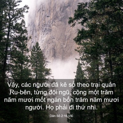 Picture 03 - Dân Số 2:16 VIE - Vậy, các người đã kê sổ theo trại - Bible Verse Picture