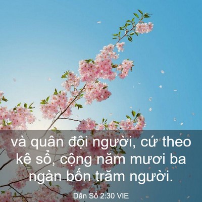 Picture 03 - Dân Số 2:30 VIE - và quân đội người, cứ theo kê sổ, - Bible Verse Picture