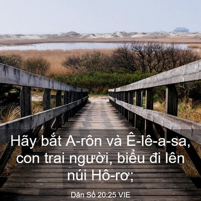 Picture 03 - Dân Số 20:25 VIE - Hãy bắt A-rôn và Ê-lê-a-sa, con trai - Bible Verse Picture