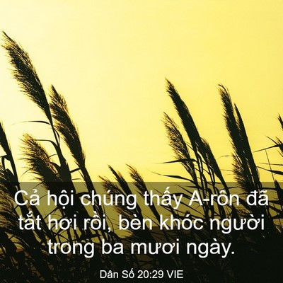 Picture 03 - Dân Số 20:29 VIE - Cả hội chúng thấy A-rôn đã tắt hơi - Bible Verse Picture