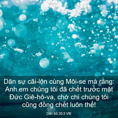 Picture 03 - Dân Số 20:3 VIE - Dân sự cãi-lộn cùng Môi-se mà rằng: - Bible Verse Picture
