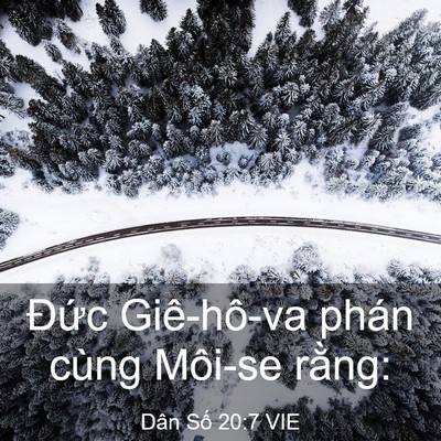 Picture 03 - Dân Số 20:7 VIE - Đức Giê-hô-va phán cùng Môi-se - Bible Verse Picture