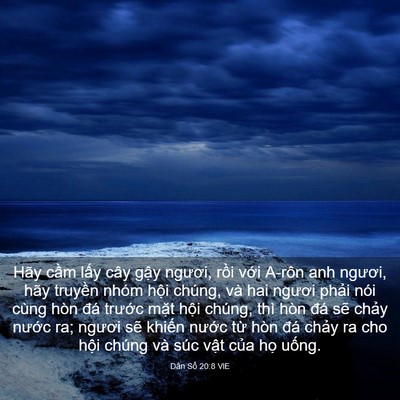 Picture 03 - Dân Số 20:8 VIE - Hãy cầm lấy cây gậy ngươi, rồi với - Bible Verse Picture