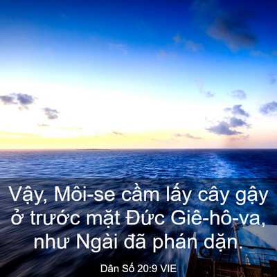 Picture 03 - Dân Số 20:9 VIE - Vậy, Môi-se cầm lấy cây gậy ở - Bible Verse Picture