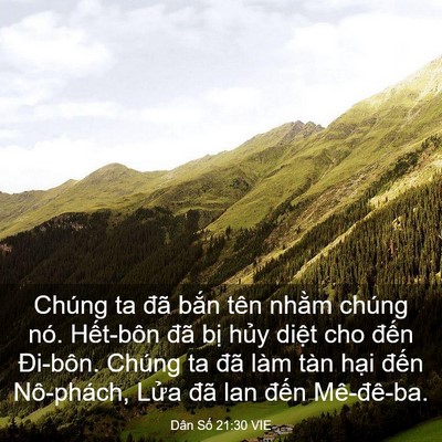 Picture 03 - Dân Số 21:30 VIE - Chúng ta đã bắn tên nhằm chúng nó. - Bible Verse Picture