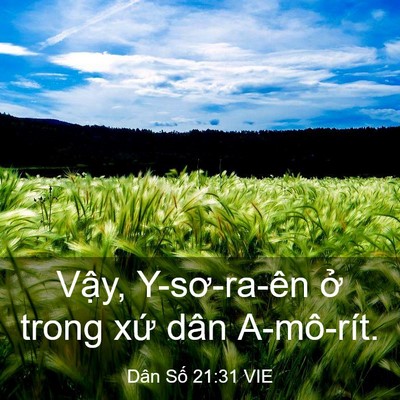 Picture 03 - Dân Số 21:31 VIE - Vậy, Y-sơ-ra-ên ở trong xứ dân - Bible Verse Picture