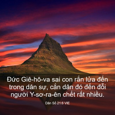 Picture 03 - Dân Số 21:6 VIE - Đức Giê-hô-va sai con rắn lửa đến - Bible Verse Picture