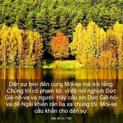 Picture 03 - Dân Số 21:7 VIE - Dân sự bèn đến cùng Môi-se mà nói - Bible Verse Picture