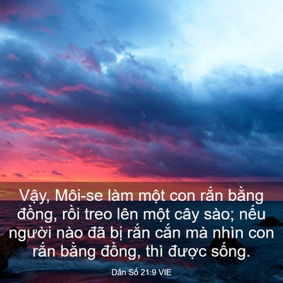 Picture 03 - Dân Số 21:9 VIE - Vậy, Môi-se làm một con rắn bằng - Bible Verse Picture