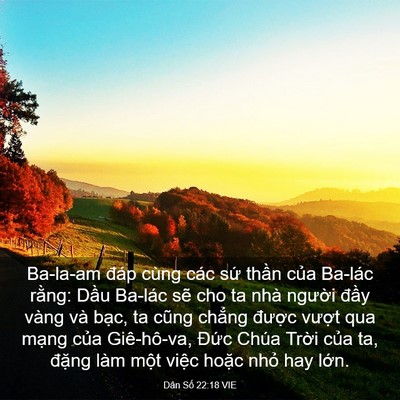 Picture 03 - Dân Số 22:18 VIE - Ba-la-am đáp cùng các sứ thần của - Bible Verse Picture