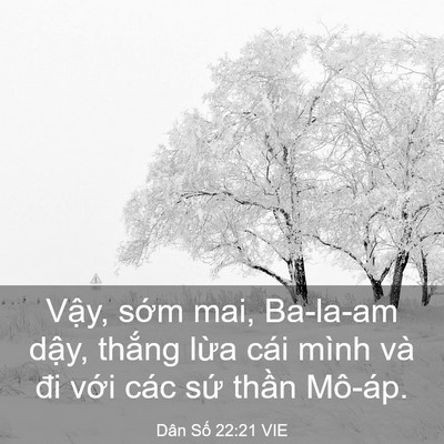 Picture 03 - Dân Số 22:21 VIE - Vậy, sớm mai, Ba-la-am dậy, thắng lừa - Bible Verse Picture