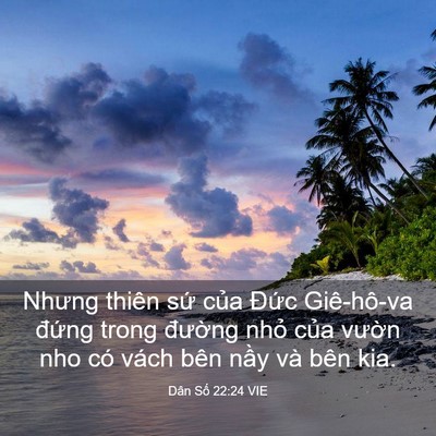 Picture 03 - Dân Số 22:24 VIE - Nhưng thiên sứ của Đức Giê-hô-va - Bible Verse Picture