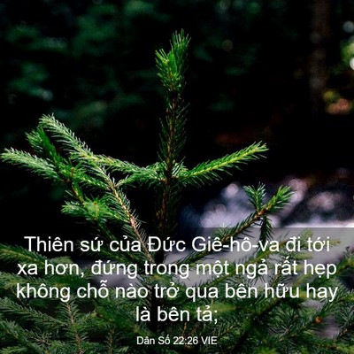 Picture 03 - Dân Số 22:26 VIE - Thiên sứ của Đức Giê-hô-va đi tới xa - Bible Verse Picture