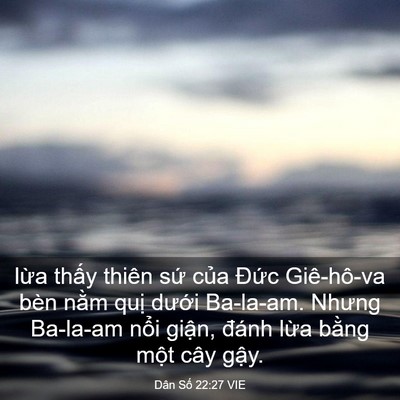 Picture 03 - Dân Số 22:27 VIE - lừa thấy thiên sứ của Đức Giê-hô-va - Bible Verse Picture