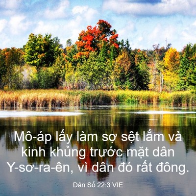 Picture 03 - Dân Số 22:3 VIE - Mô-áp lấy làm sợ sệt lắm và kinh - Bible Verse Picture