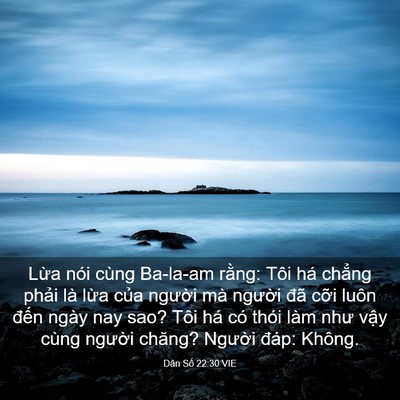 Picture 03 - Dân Số 22:30 VIE - Lừa nói cùng Ba-la-am rằng: Tôi há - Bible Verse Picture