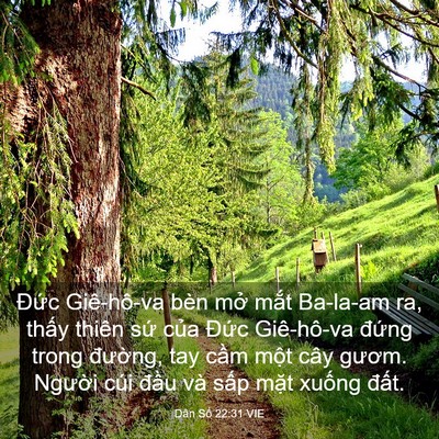 Picture 03 - Dân Số 22:31 VIE - Đức Giê-hô-va bèn mở mắt Ba-la-am ra, - Bible Verse Picture