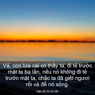 Picture 03 - Dân Số 22:33 VIE - Vả, con lừa cái có thấy ta, đi tẻ - Bible Verse Picture