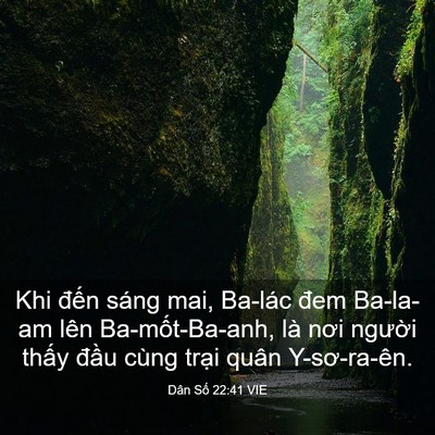 Picture 03 - Dân Số 22:41 VIE - Khi đến sáng mai, Ba-lác đem Ba-la-am lên - Bible Verse Picture