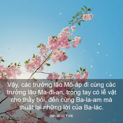 Picture 03 - Dân Số 22:7 VIE - Vậy, các trưởng lão Mô-áp đi cùng các - Bible Verse Picture