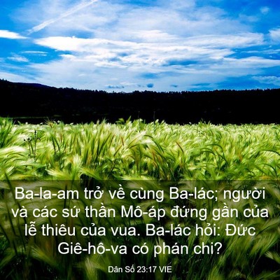 Picture 03 - Dân Số 23:17 VIE - Ba-la-am trở về cùng Ba-lác; người và - Bible Verse Picture