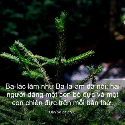 Picture 03 - Dân Số 23:2 VIE - Ba-lác làm như Ba-la-am đã nói; hai - Bible Verse Picture