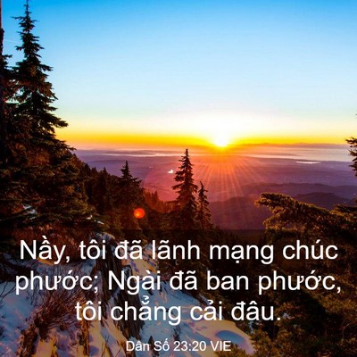 Picture 03 - Dân Số 23:20 VIE - Nầy, tôi đã lãnh mạng chúc phước; - Bible Verse Picture
