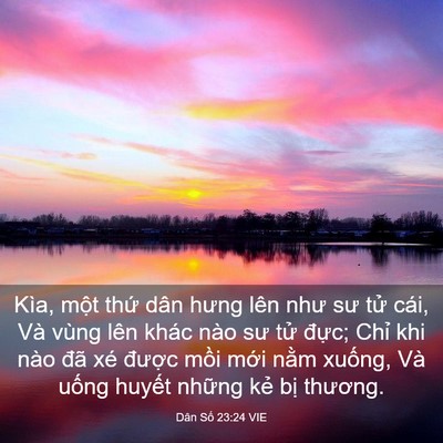 Picture 03 - Dân Số 23:24 VIE - Kìa, một thứ dân hưng lên như sư tử - Bible Verse Picture