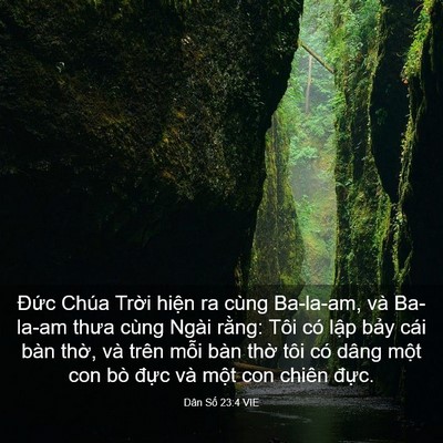 Picture 03 - Dân Số 23:4 VIE - Đức Chúa Trời hiện ra cùng Ba-la-am, và - Bible Verse Picture