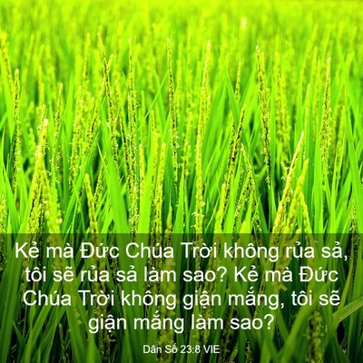 Picture 03 - Dân Số 23:8 VIE - Kẻ mà Đức Chúa Trời không rủa sả, - Bible Verse Picture