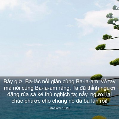 Picture 03 - Dân Số 24:10 VIE - Bấy giờ, Ba-lác nổi giận cùng Ba-la-am, - Bible Verse Picture