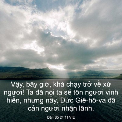 Picture 03 - Dân Số 24:11 VIE - Vậy, bây giờ, khá chạy trở về xứ - Bible Verse Picture