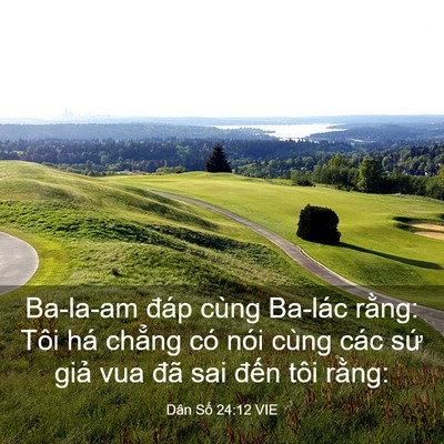 Picture 03 - Dân Số 24:12 VIE - Ba-la-am đáp cùng Ba-lác rằng: Tôi há - Bible Verse Picture