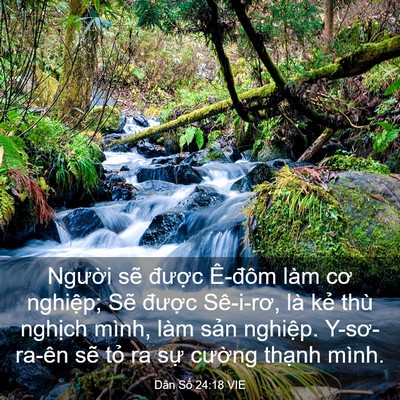 Picture 03 - Dân Số 24:18 VIE - Người sẽ được Ê-đôm làm cơ - Bible Verse Picture