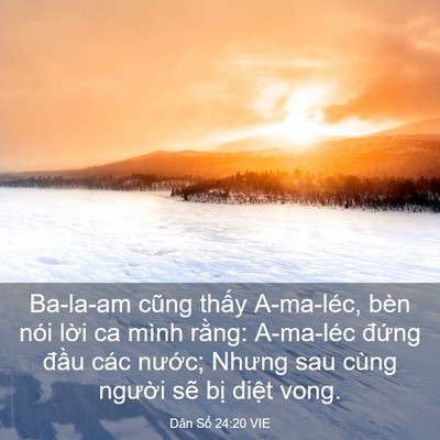Picture 03 - Dân Số 24:20 VIE - Ba-la-am cũng thấy A-ma-léc, bèn nói lời - Bible Verse Picture