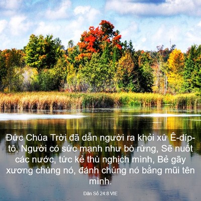 Picture 03 - Dân Số 24:8 VIE - Đức Chúa Trời đã dẫn người ra khỏi - Bible Verse Picture