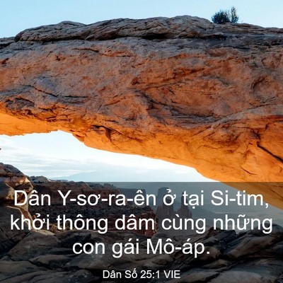 Picture 03 - Dân Số 25:1 VIE - Dân Y-sơ-ra-ên ở tại Si-tim, khởi thông - Bible Verse Picture