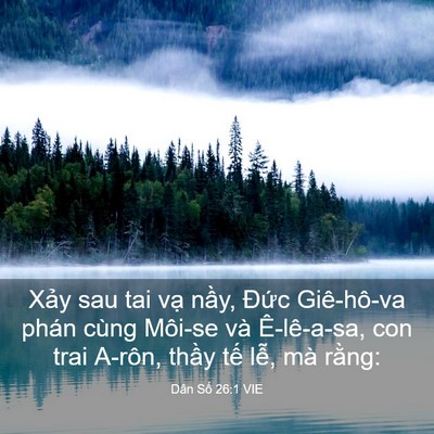 Picture 03 - Dân Số 26:1 VIE - Xảy sau tai vạ nầy, Đức Giê-hô-va - Bible Verse Picture