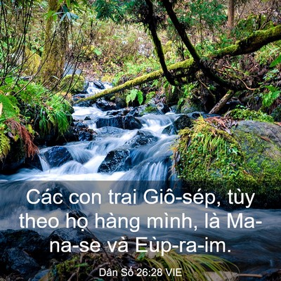 Picture 03 - Dân Số 26:28 VIE - Các con trai Giô-sép, tùy theo họ hàng - Bible Verse Picture